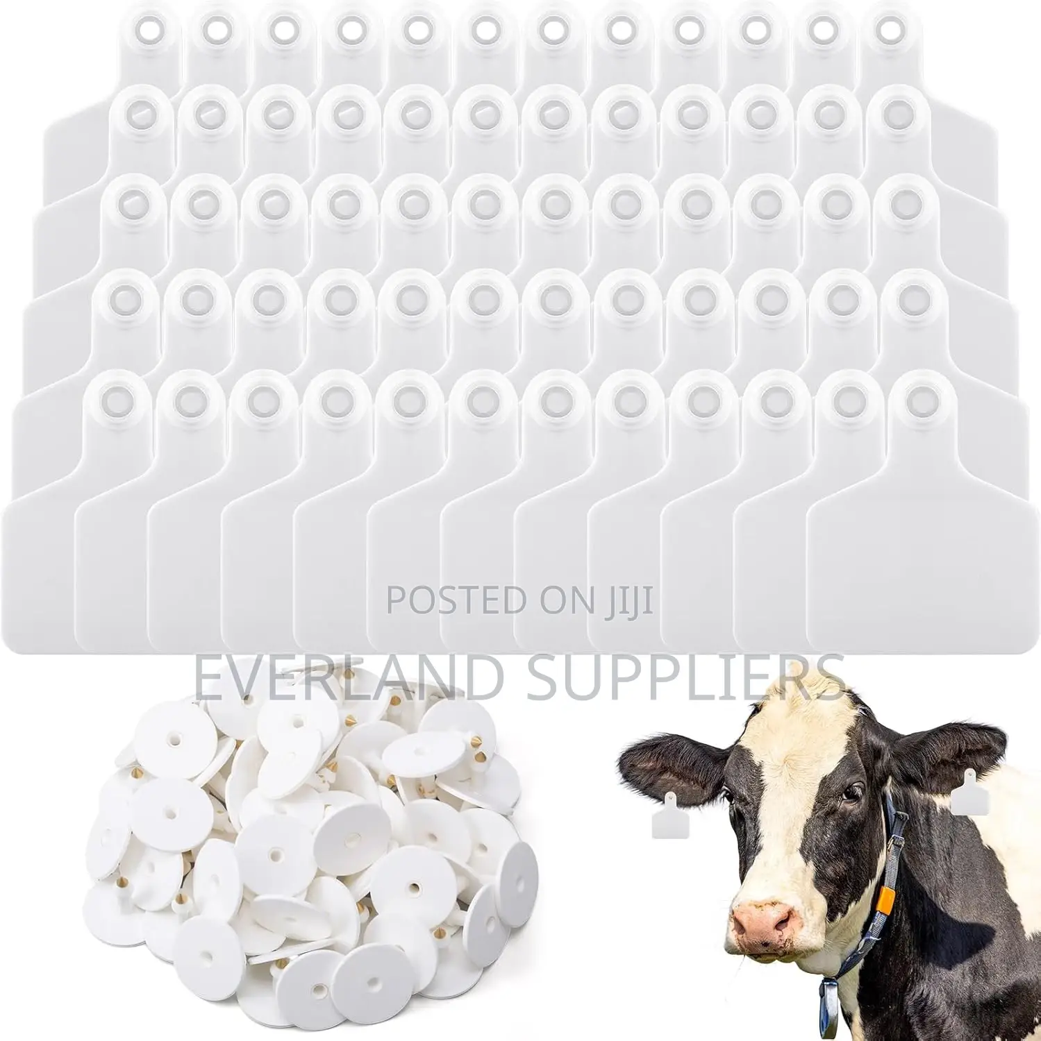 Custom Number Ear Tag - White