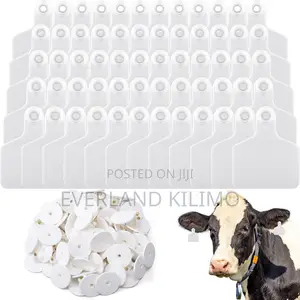 Custom Number Ear Tag - White