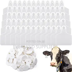 Custom Number Ear Tag - White