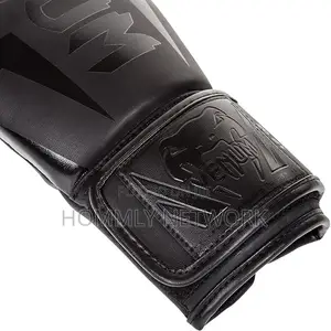 Venum Challenger 2.0 Boxing Gloves - Black/Black