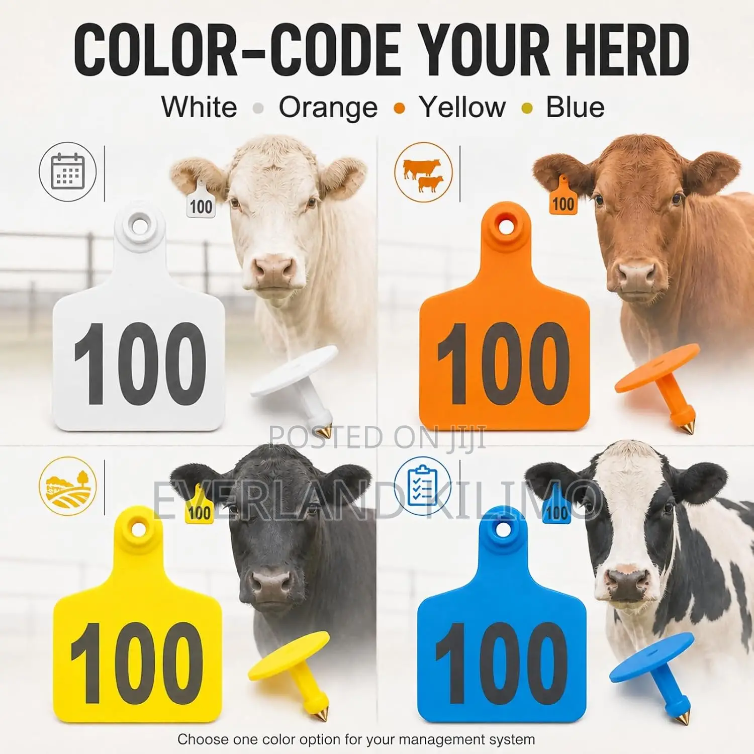Farm Record Cattle Ear Tag