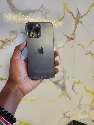 Apple iPhone 13 Pro Max 256 GB Graphite