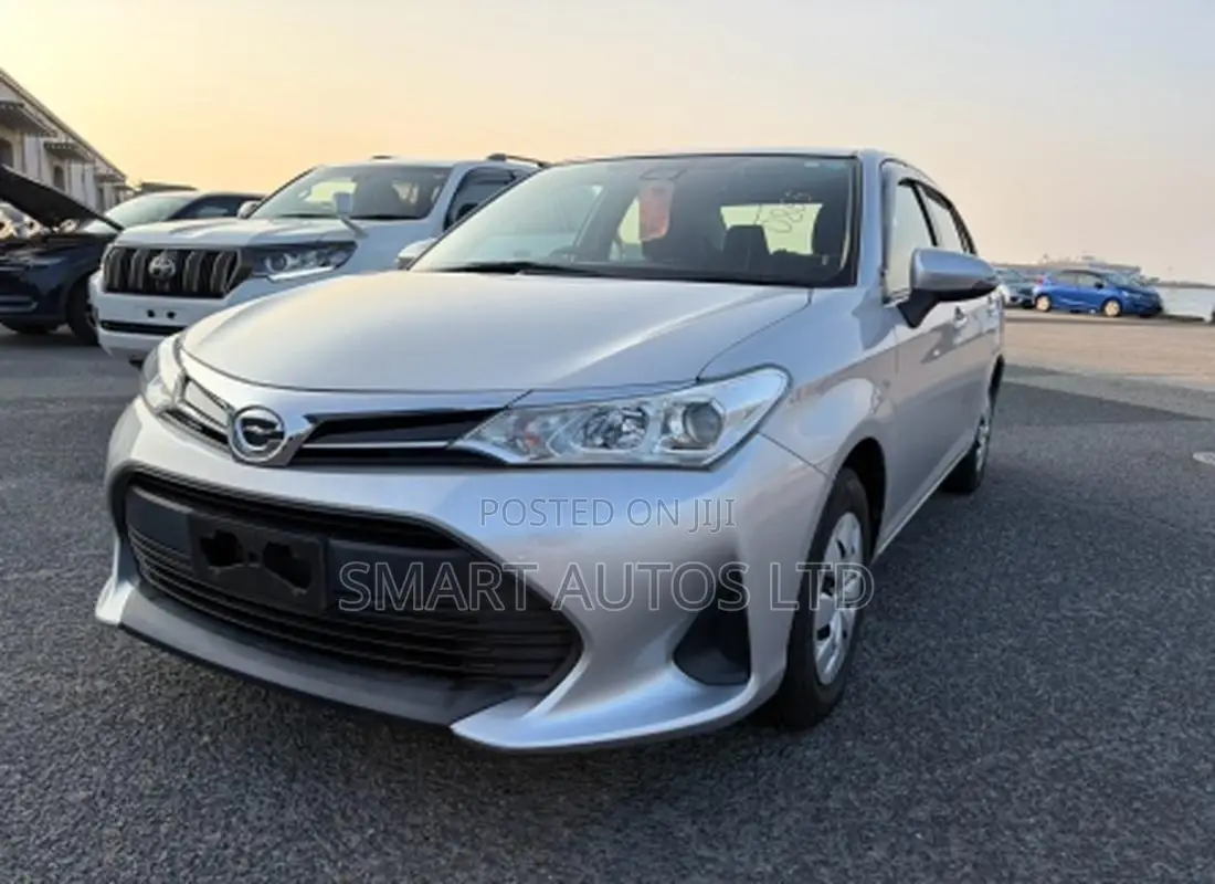 Toyota Axio 2019