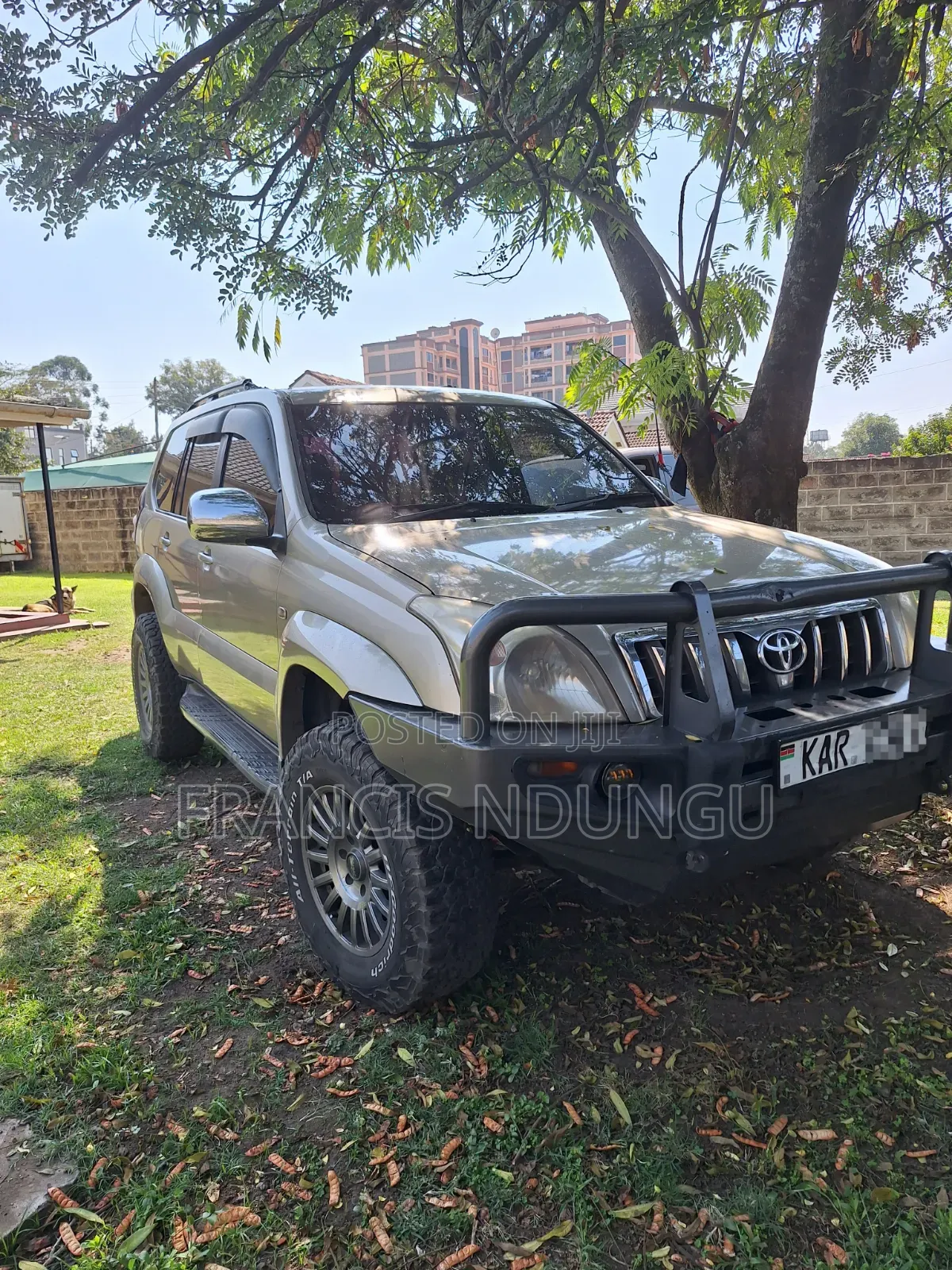 Toyota Land Cruiser 2003 Beige