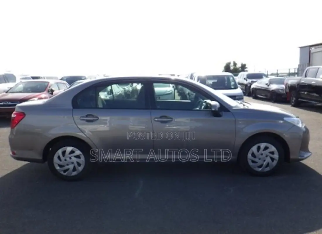 Toyota Axio 2019 Brown