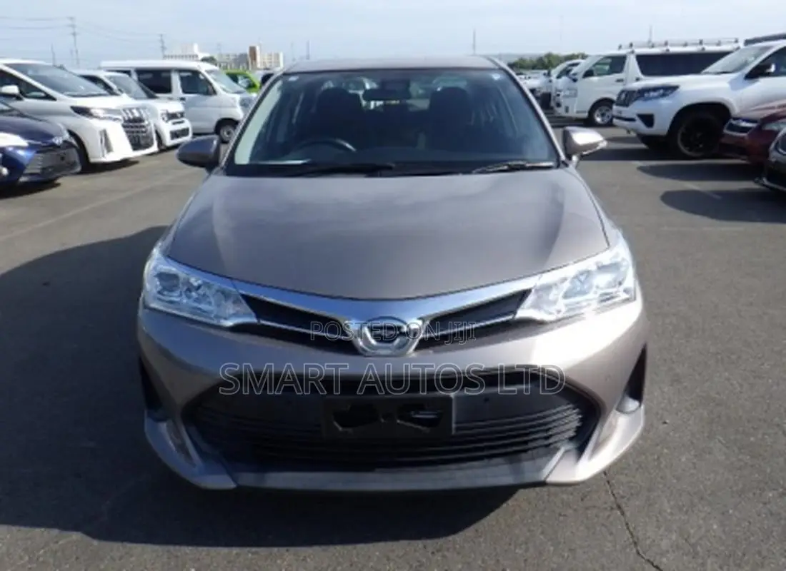 Toyota Axio 2019 Brown