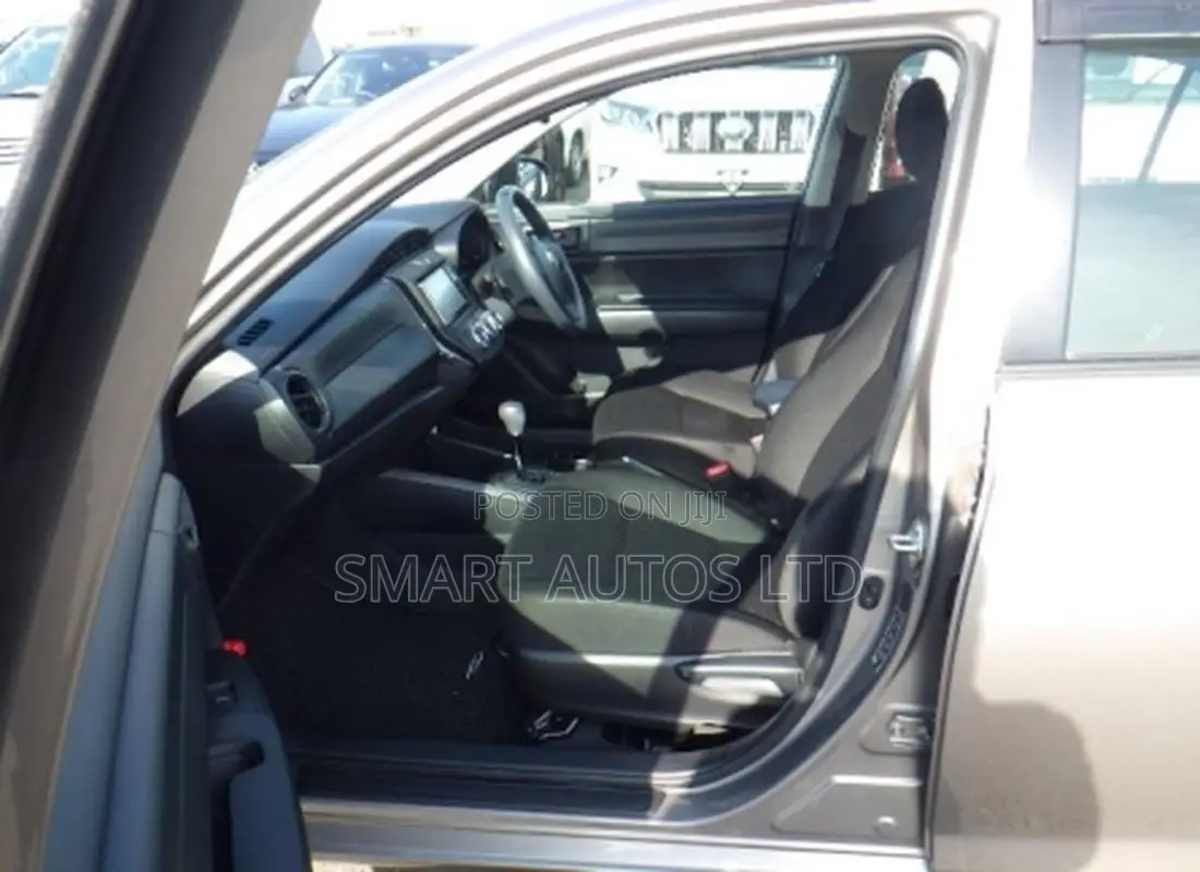 Toyota Axio 2019 Brown