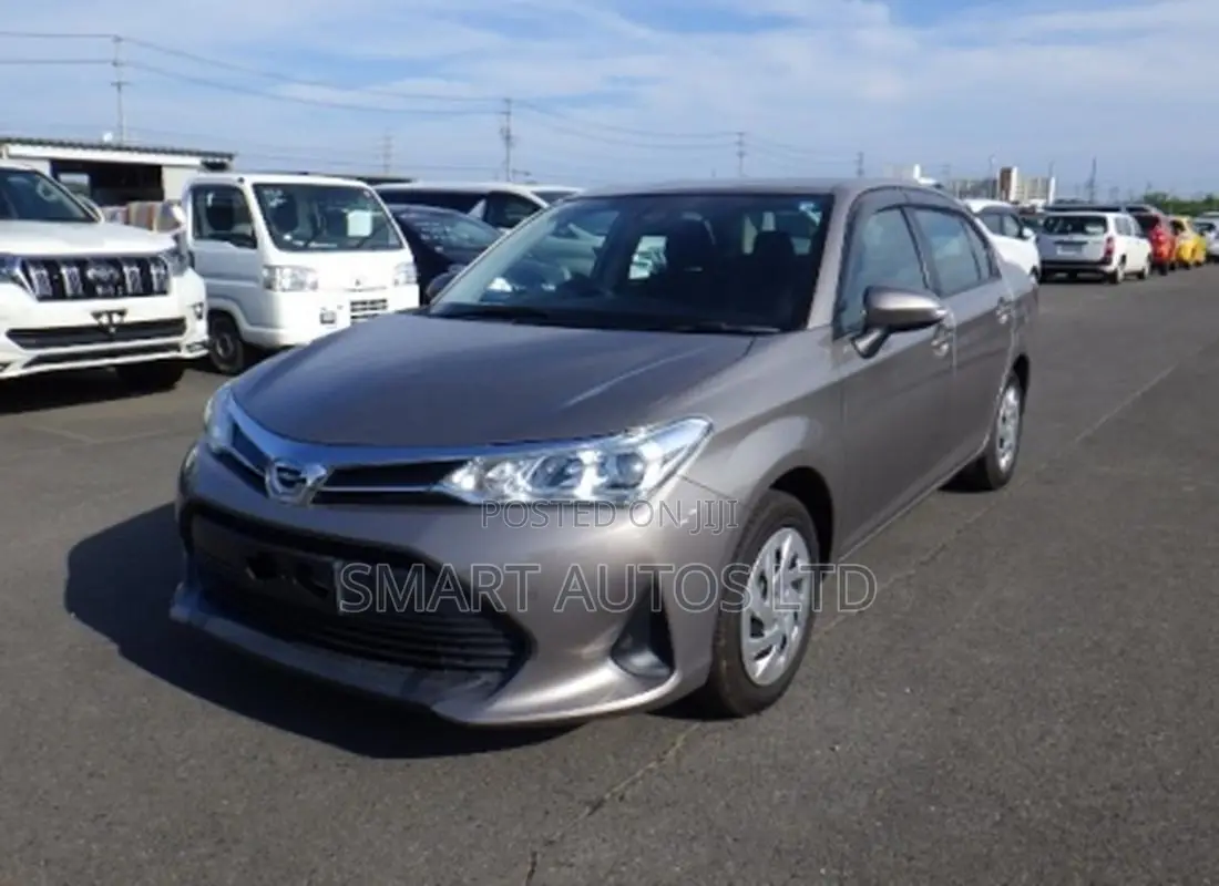 Toyota Axio 2019 Brown