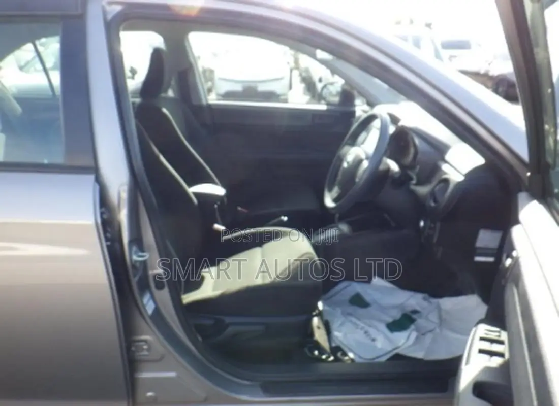 Toyota Axio 2019 Brown