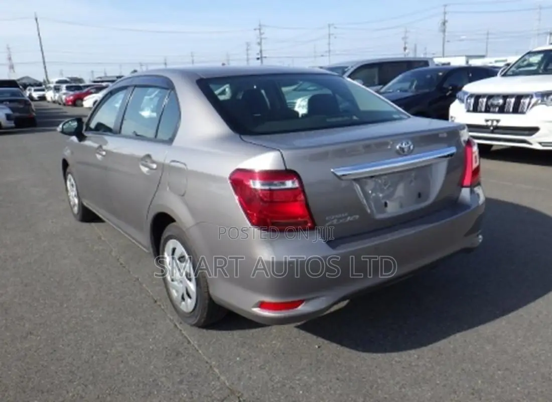 Toyota Axio 2019 Brown