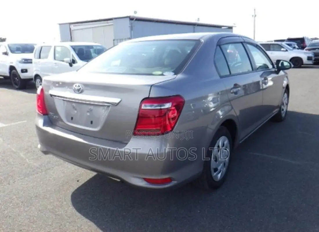 Toyota Axio 2019 Brown