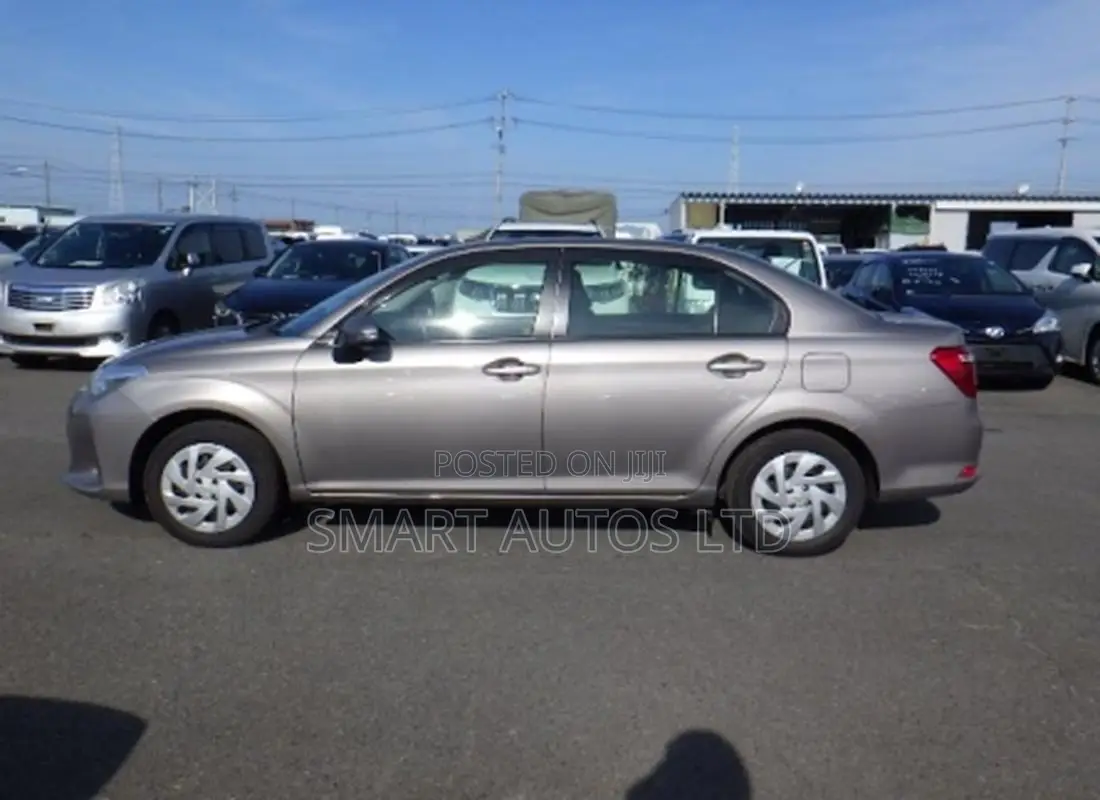 Toyota Axio 2019 Brown