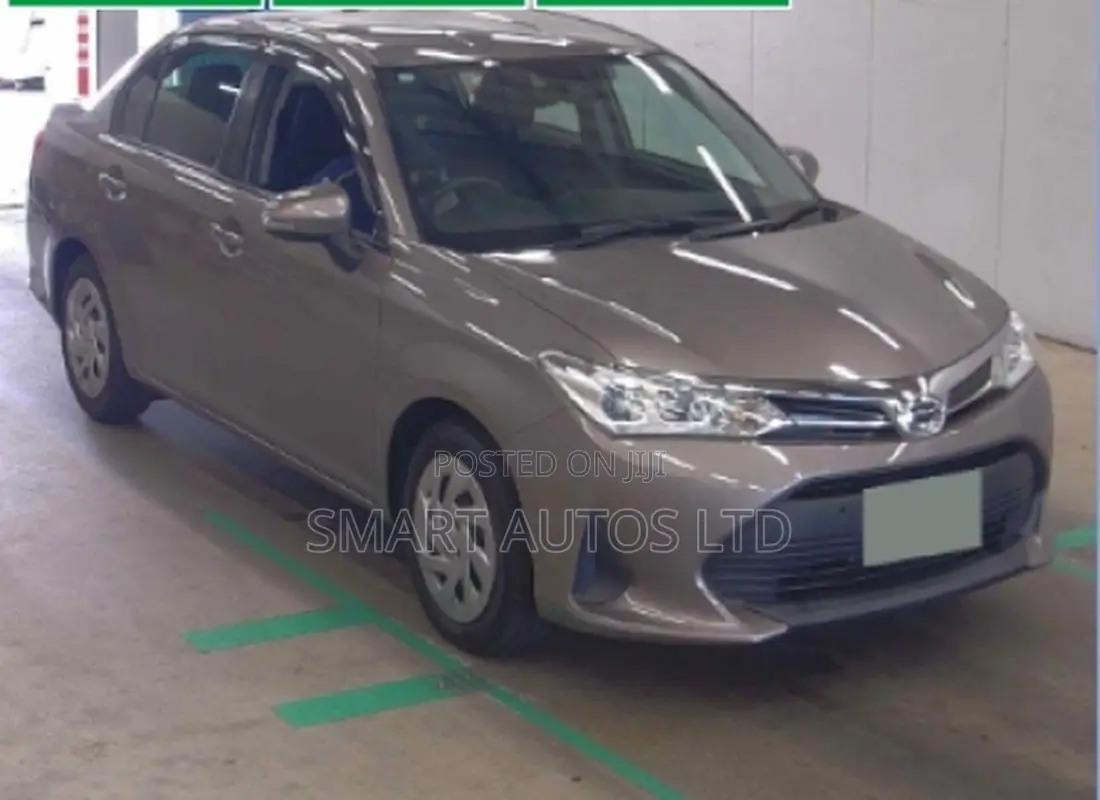 Toyota Axio 2019 Brown