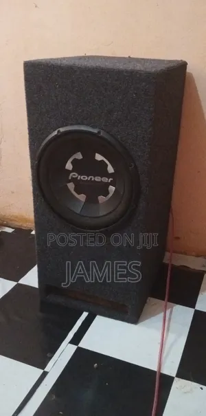 Speaker Pioneer