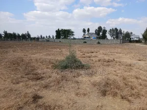 Kisaju Kitengela 1/4 Land 300m From Tarmac