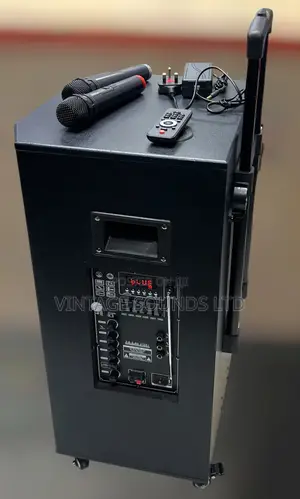JBL 15-Inch Rechargeable Trolley Speaker (3200W Peak) + Dual Mics