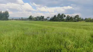 Over 85 Acres With Water Is Available for Lease in Nyandarua-Kasungu
