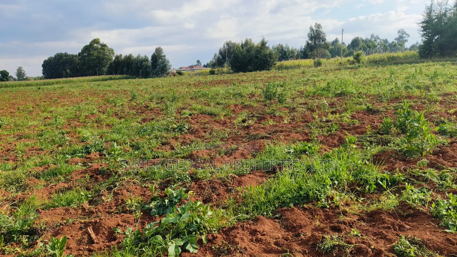 Over 85 Acres With Water Is Available for Lease in Nyandarua-Kasungu