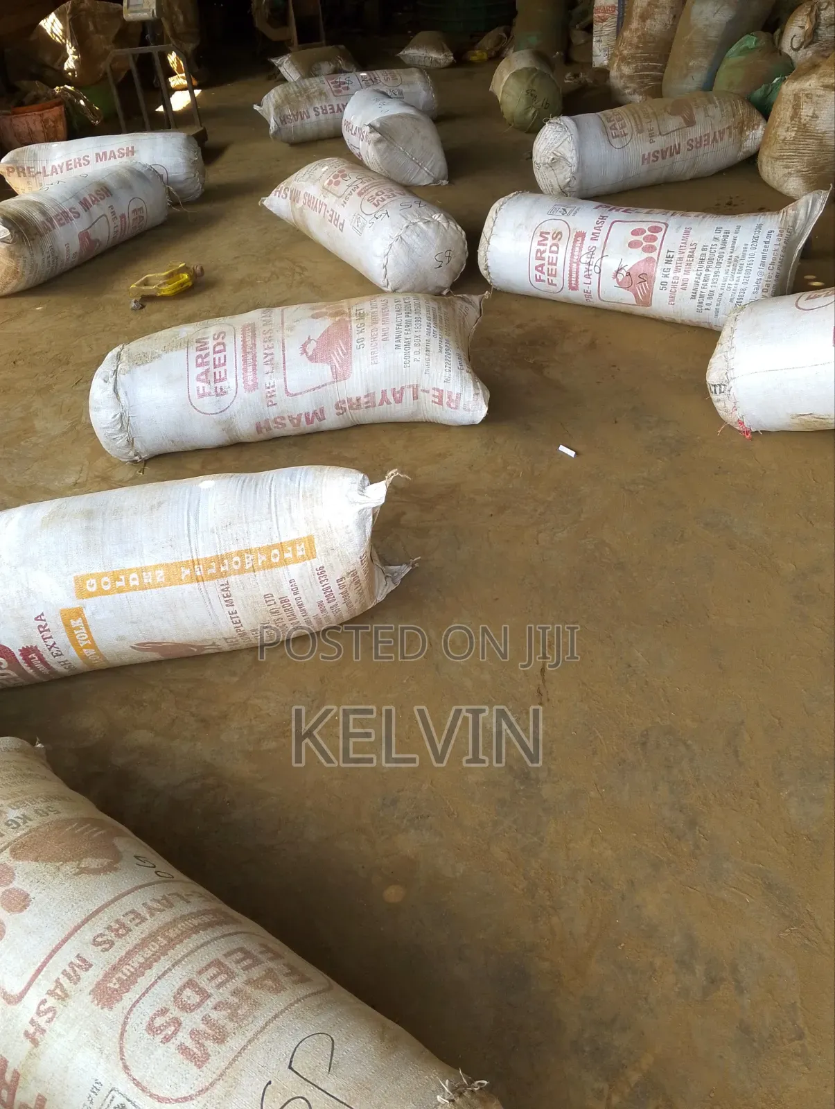 Dry Raw and Processed Tobacco Leafs