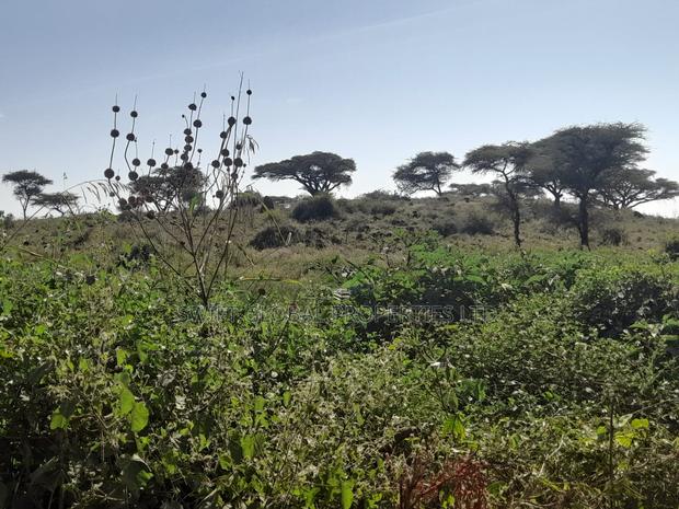 120 Acres Is Available for Sale in Bisil Kajiado County