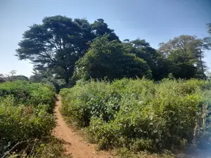 120 Acres Is Available for Sale in Bisil Kajiado County