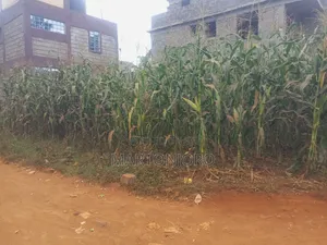 Riverside Estate ( Kenyatta Road)
