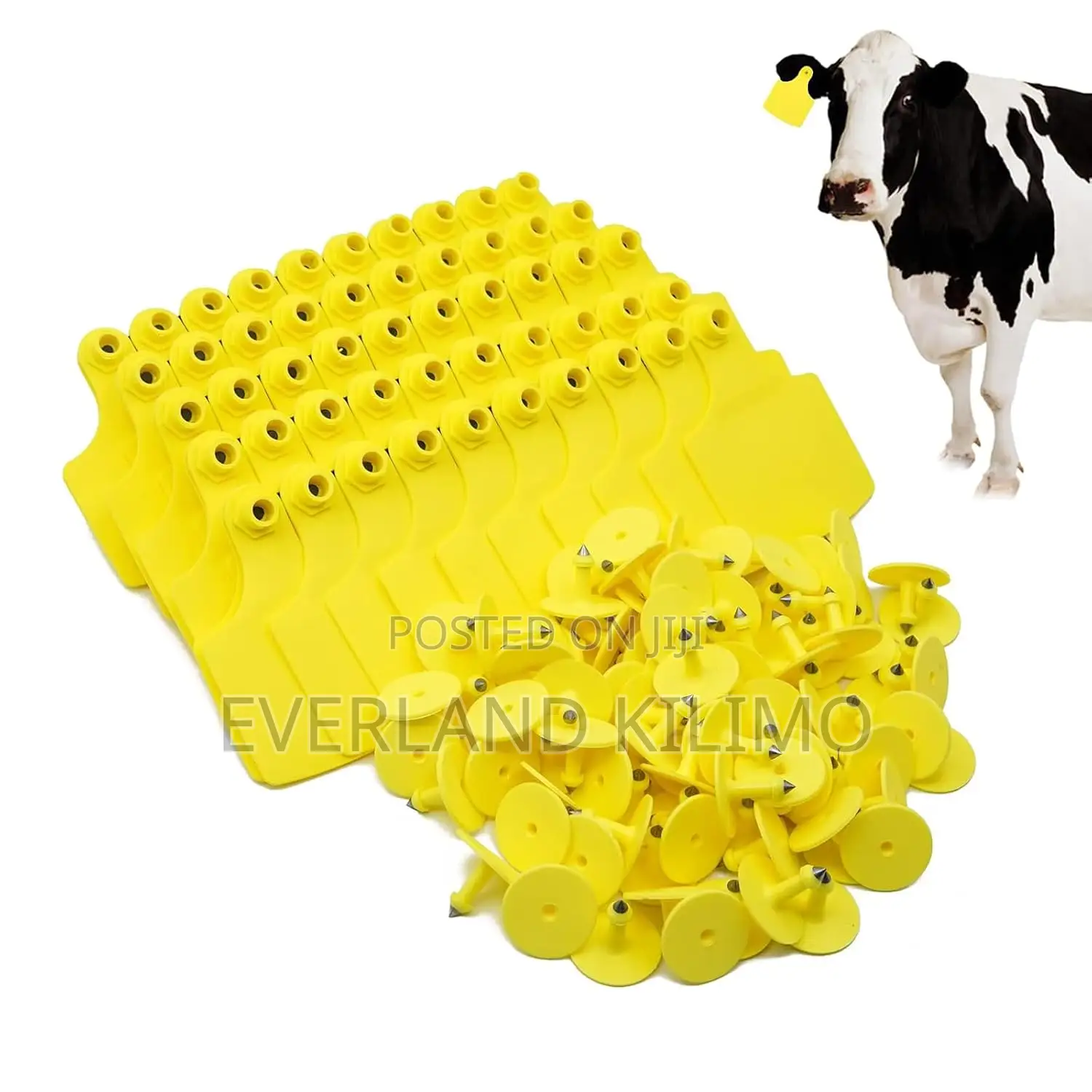Secure Cattle Medium Tag