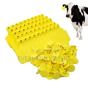 Secure Cattle Medium Tag