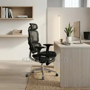 Office Chairs; Mesh Fabric Orthopedic Executive Office Chair