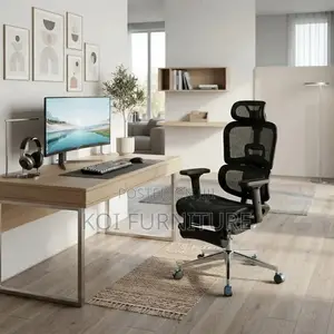 Office Chairs; Mesh Fabric Orthopedic Executive Office Chair