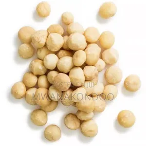Raw Macadamia Nuts