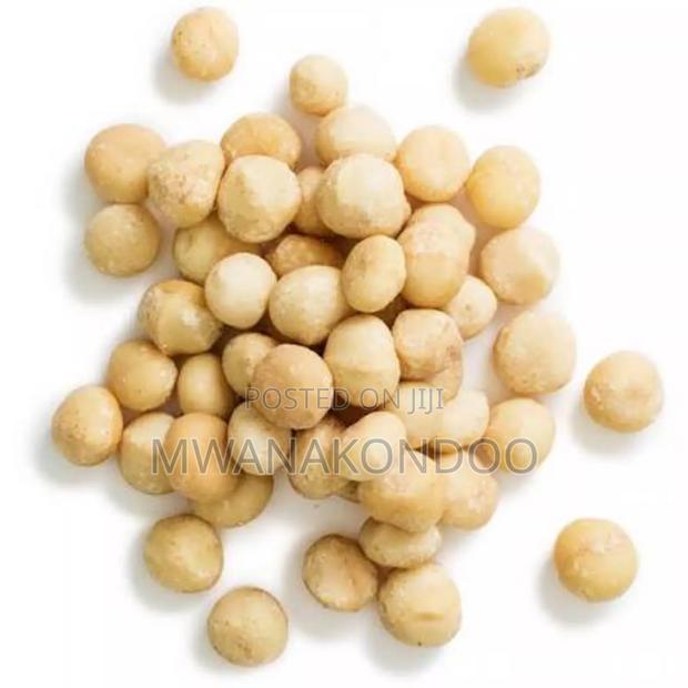 Raw Macadamia Nuts
