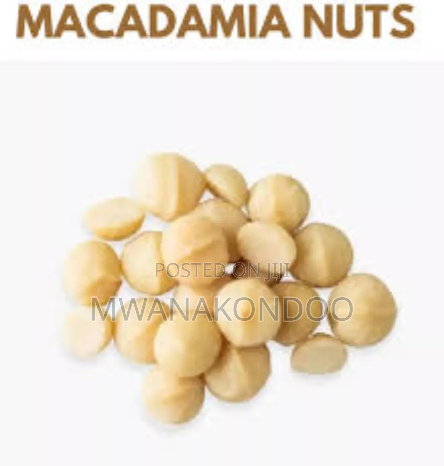 Raw Macadamia Nuts