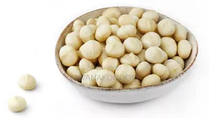 Raw Macadamia Nuts