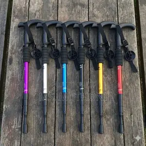 Adjustable T-Handle Trekking Pole