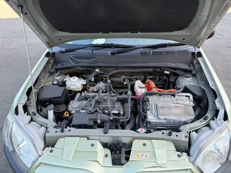 Toyota Probox 2019 Green