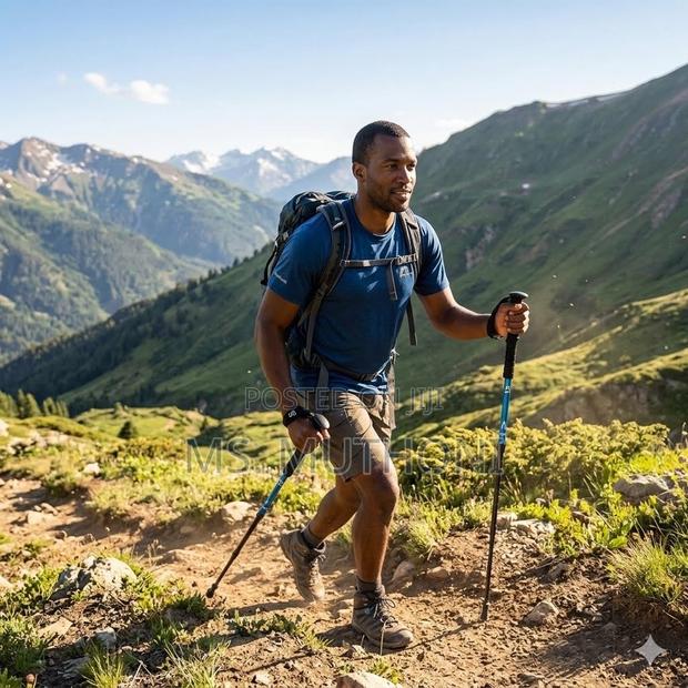 Telescopic, Multi-Section Design Trekking Stick - thumbnail 4