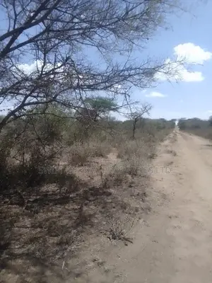 2000 Acres Are Available for Sale in Kajiado Mailua Town
