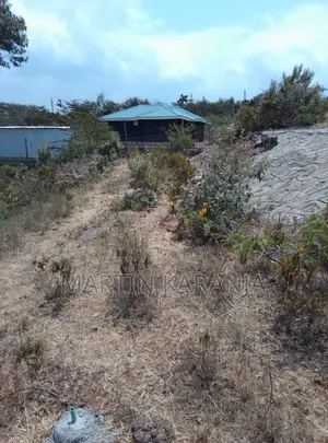 50* 100 Plot for Sale