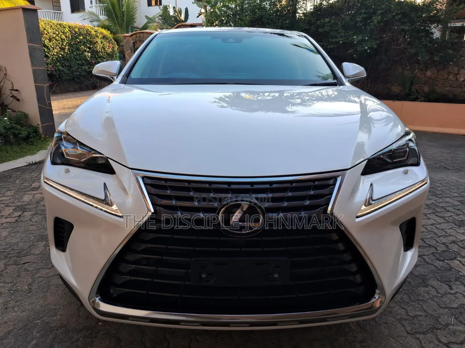 Lexus NX 2018 White