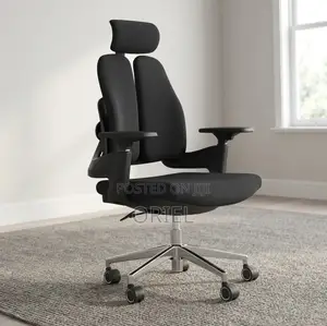 Office Chair : Double Backrest Orthopedic Office Chair