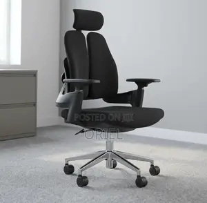 Office Chair : Double Backrest Orthopedic Office Chair