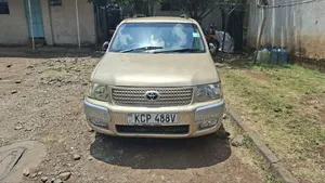 Toyota Probox 2010 Gold