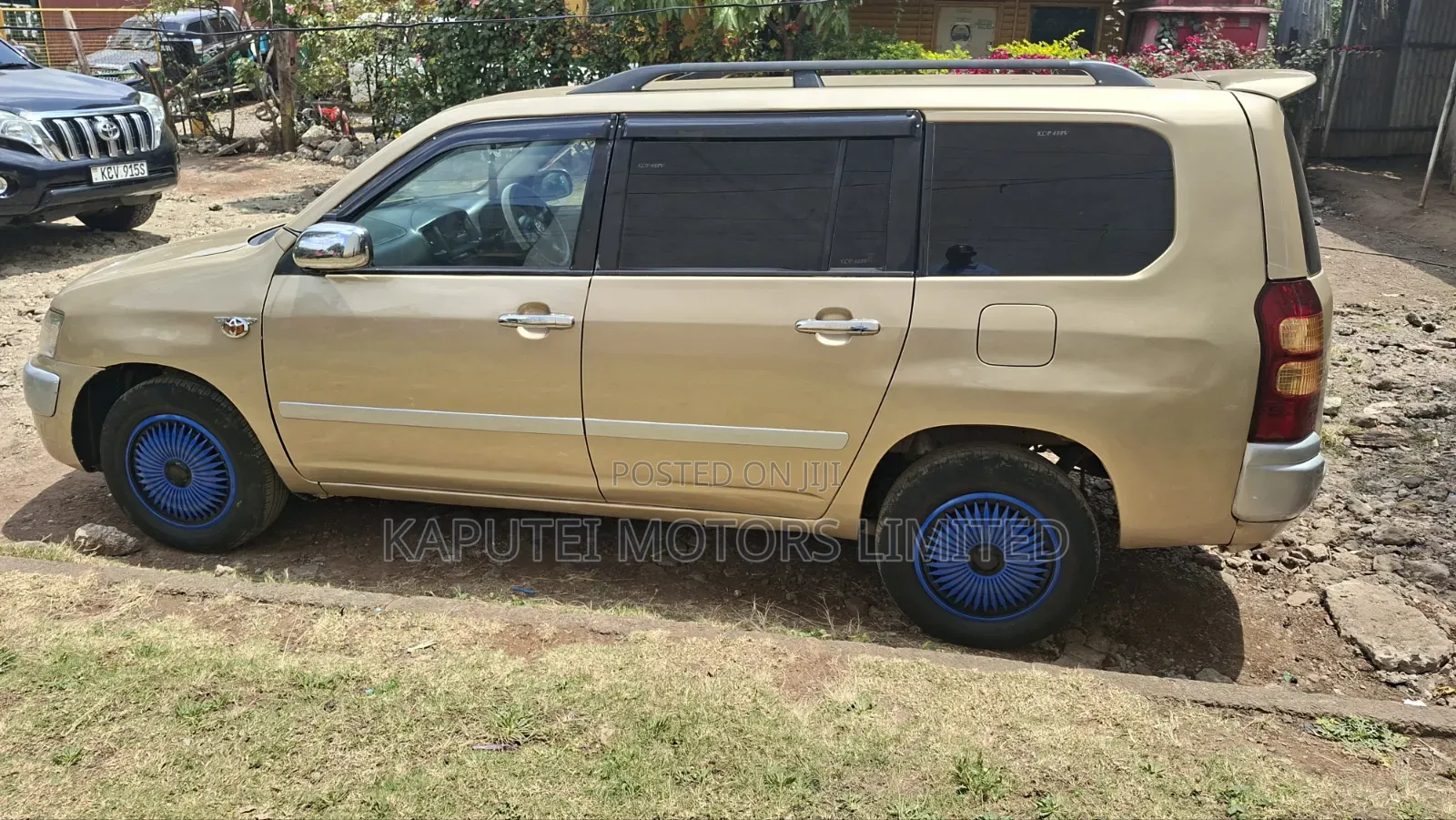 Toyota Probox 2010 Gold
