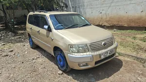 Toyota Probox 2010 Gold