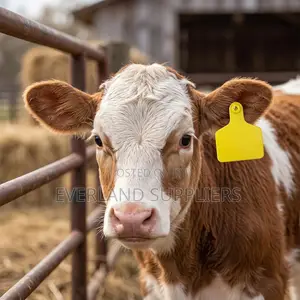 Dairy Herd Management Large Ear Tag