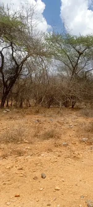 0ver 100 Acres Is Available for Lease in Makueni County in Kambu