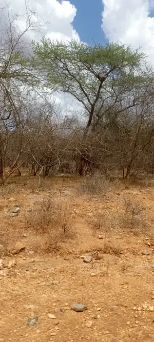 0ver 100 Acres Is Available for Lease in Makueni County in Kambu