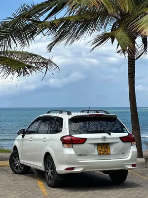 Toyota Corolla Fielder 2019 Pearl