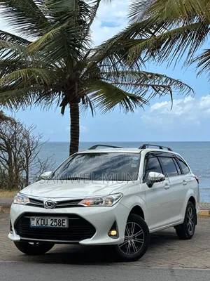 Toyota Corolla Fielder 2019 Pearl